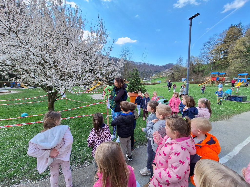 Ogledovanje našega drevesa