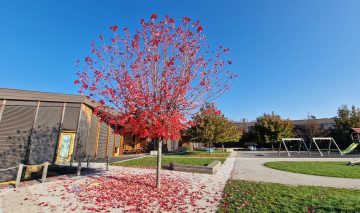 Strokovna ekskurzija v Ribnico