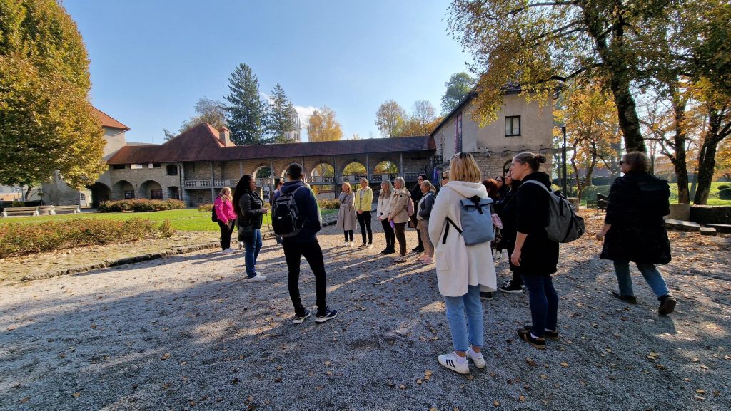 Grad Ribnica