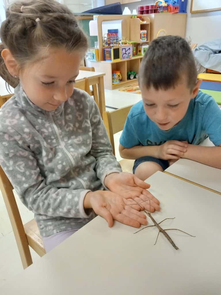 Srečanje s paličnjakom
